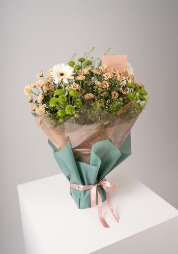 Verdant Elegance