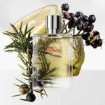 Terre D Hermes