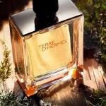Terre D Hermes
