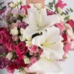 Pink Blooms
