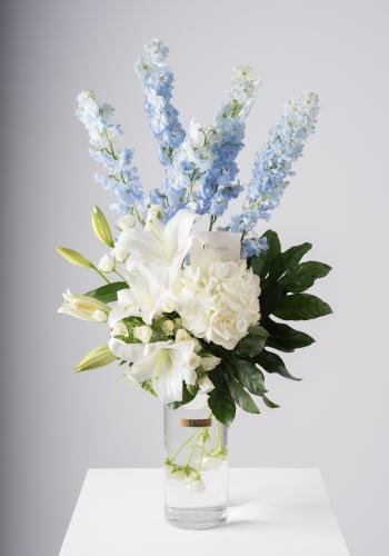 Elegant Delphinium
