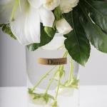 Elegant Delphinium