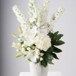 Elegant Delphinium