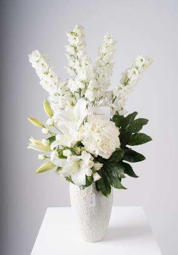 Elegant Delphinium