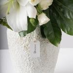 Elegant Delphinium
