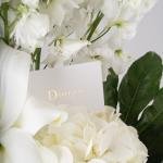 Elegant Delphinium