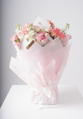 Soft Elegance