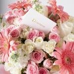 Soft Elegance