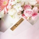 Soft Elegance