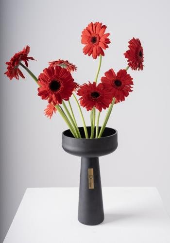 Gerbera Radiance in Black Elegance