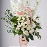 Grace in Bloom