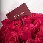 Fuche - Rose Bouquet