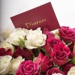 Crimson Frost - Spray Rose Bouquet
