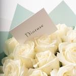 Ivory Mist - Rose Bouquet