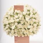 Dana – Famous Hot Sale: Spray Roses in a Box
